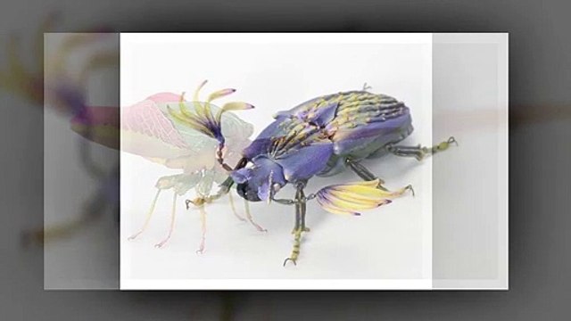 Genial! Insectos hechos con hojas secas