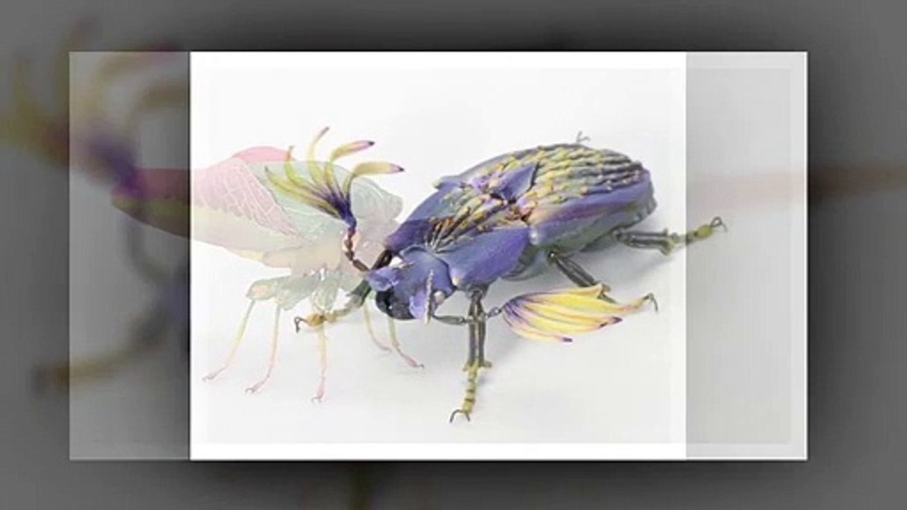 Genial! Insectos hechos con hojas secas