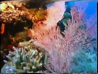 Great Splendours of the World: Splendours of Nature (1996 UK VHS)