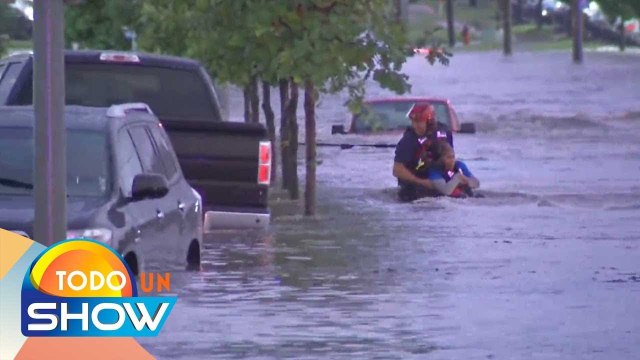 ¿Sabes cómo reaccionar a una inundación dentro de tu auto? Aquí los consejos básicos. | Todo Un Show