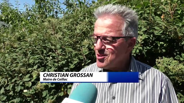 D!CI TV : la foire aux agnelles de Ceillac perpétue les traditions