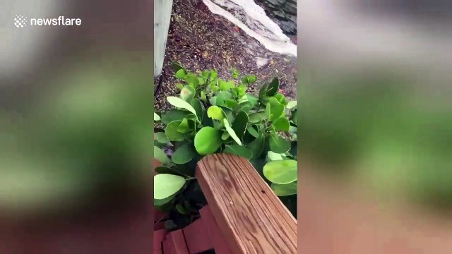 High winds and beach erosion in Florida ahead of Hurricane Dorian's expected storm surge