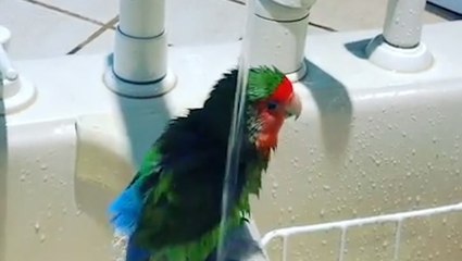 Could Bath Time Get Any Cuter?