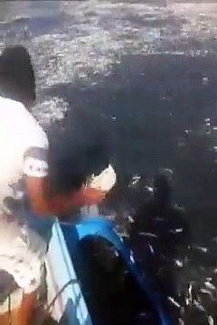 Ces pêcheurs vont comprendre ce que veut dire pêche miraculeuse