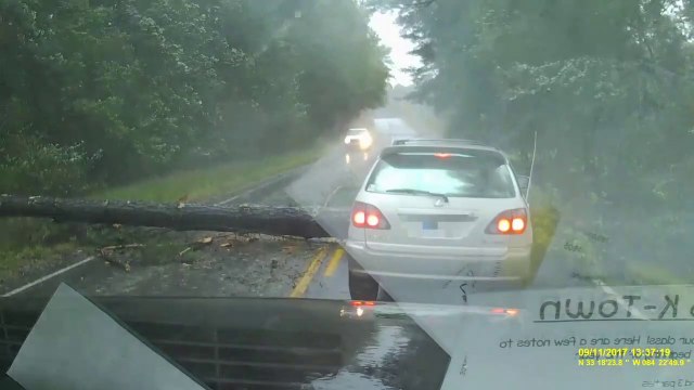 Un conducteur se prend un arbre en pleine tempête et évite le pire. Bon karma