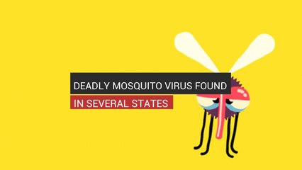 Deadly Mosquito Virus Found In Several States