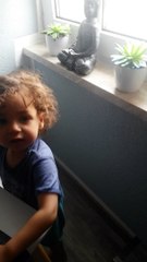 Massi, der kleene Storch