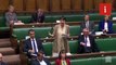 Caroline Lucas scolds Jacob Rees-Mogg for lying down in Commons