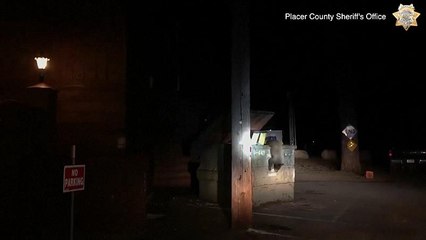 Orsetto liberato in California