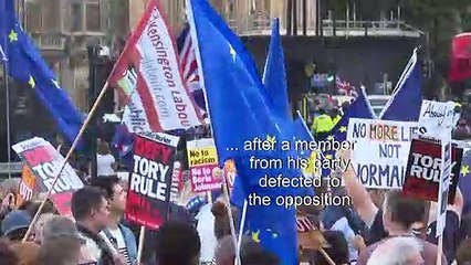 Brexit: protest outside Parliament ahead of Brexit showdown