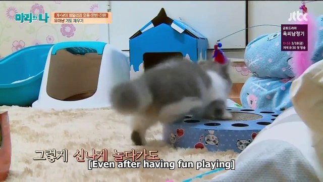 iKON Mari and I Episode 12 - Hanbin and Jinhwan + Seo In Guk Full Cut ENG SUB