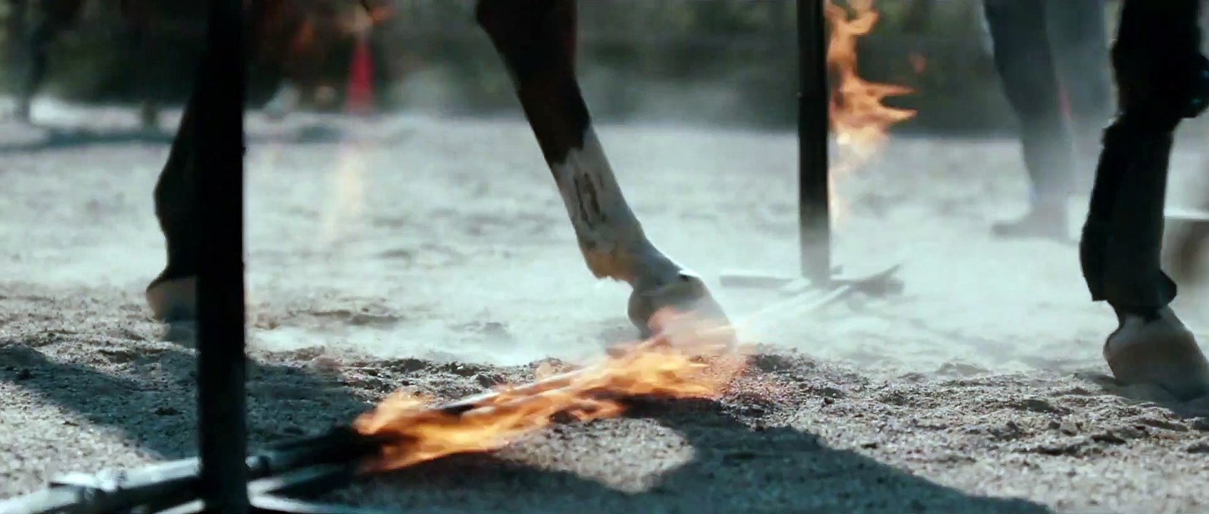 Clip zum Film Pelikanblut