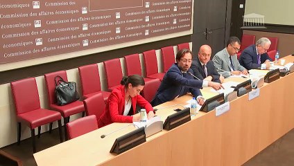 Commission d’enquête sur la grande distribution : M. Didier Guillaume, ministre de l’agriculture et de l’alimentation - Mardi 3 septembre 2019