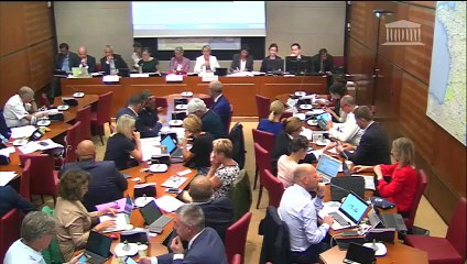 Commission du développement durable : Orientation des mobilités (nouvelle lecture) (suite) - Mardi 3 septembre 2019