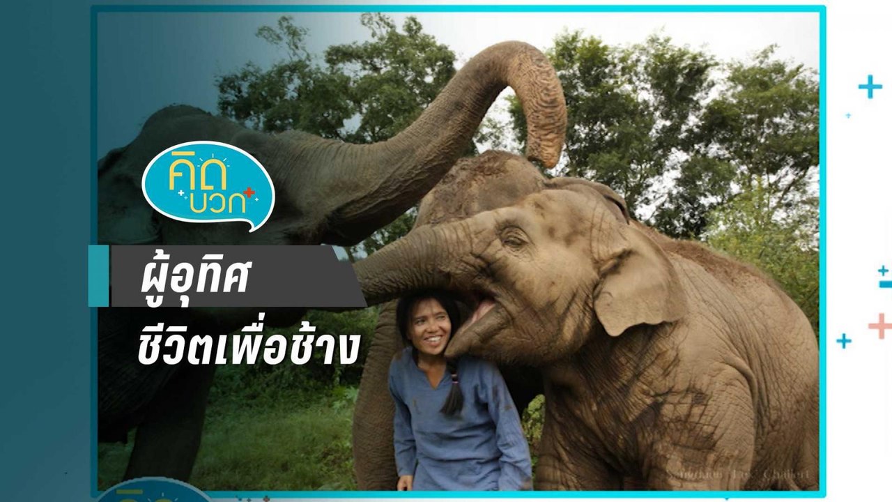 คิดบวก | ผู้อุทิศชีวิตเพื่อช้าง (1/2)