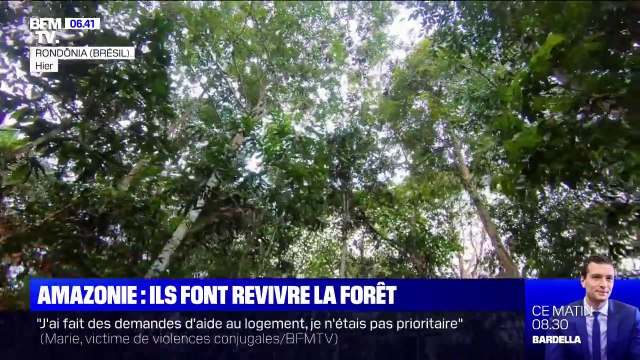 Ils replantent des arbres en Amazonie dans le but de faire revivre la forêt