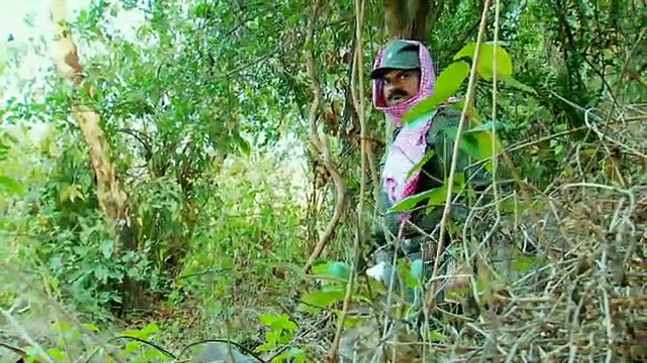 Vợ Tôi Là Cảnh Sát Tập 350 - Phim Ấn Độ THVL2 Raw - Phim Vo Toi La Canh Sat Tap 351 - Phim Vo Toi La Canh Sat Tap 350