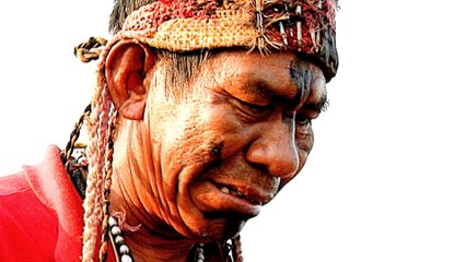 Brazil cancels indigenous land requests after land dispute