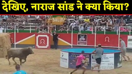 Spain में Bull ने लोगों पर किया attack, Video Viral । वनइंडिया हिंदी