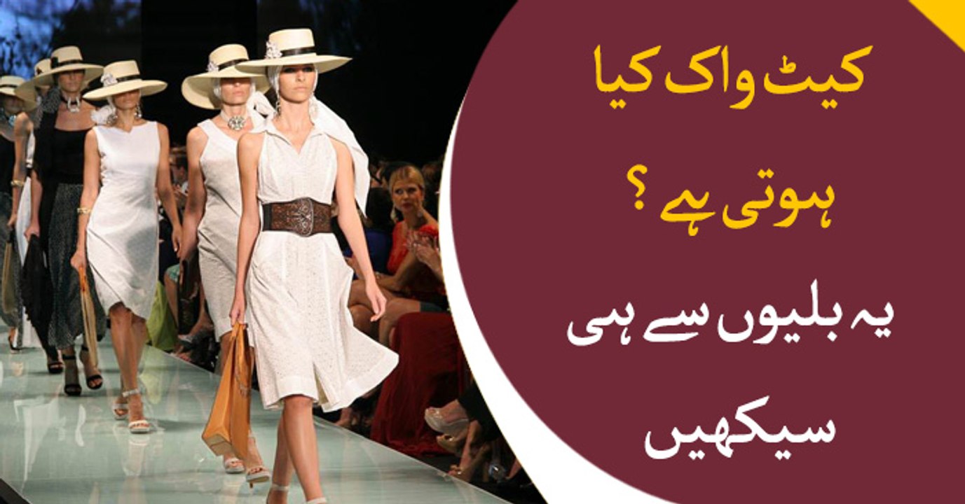 What is catwalk? Learn it from cats