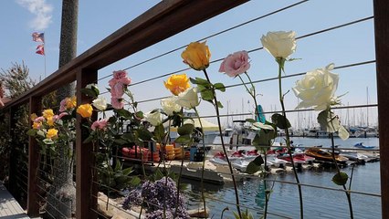 Kaliforniai hajótűz: az utasok közül senki nem élhette túl