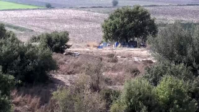 Arıların soktuğu kovan hırsızlığı şüphelisi öldü
