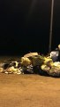 Andria: rifiuti abbandonati in Contrada Troianelli