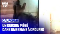 Piégé dans une benne à ordures en Californie, cet ourson a été sauvé par des policiers