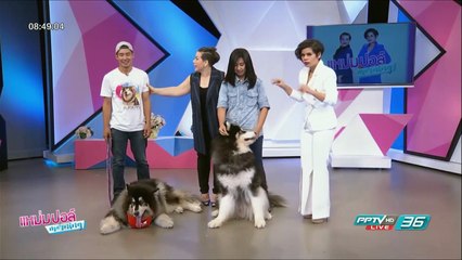 โชว์หมายักษ์ "บ้านยักษ์เบิ้ม" | แหม่ม ปอล์ มอร์นิ่ง | 26 พ.ค. 60 (4/4)