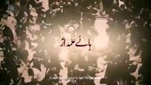 Mir Hassan Mir || Hay Alamdar || Nohay 2019-20
