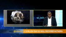 3.8 million years old skull discovered in Ethiopia