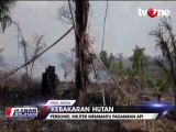 Personel Militer Bantu Padamkan Kebakaran Hutan Amazon