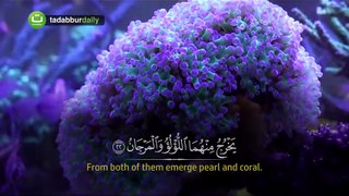 Quran Surah Ar Rahman - syaikh Mansour Mohieddine