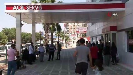 Kovanları çalarken arıların soktuğu genç öldü