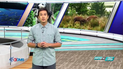 มหัศจรรย์สัตว์โลกจู่โจมไม่ตั้งตัว - โลกสารคดี (3/3)