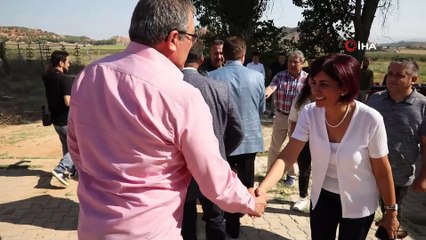 Yerli üretim ayçiçekleri ilk mahsulünü verdi