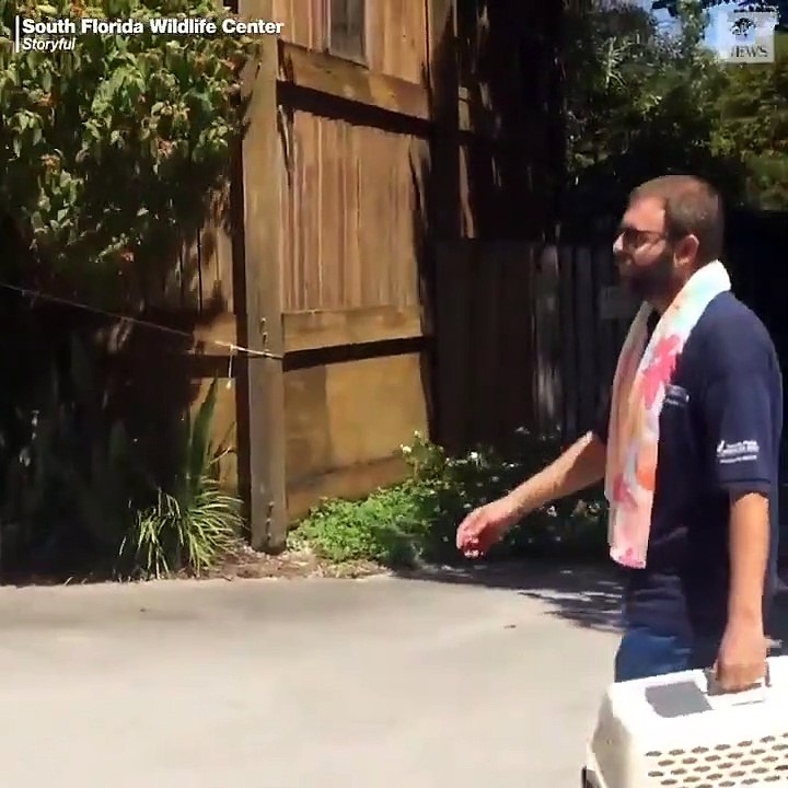 Dorian Kasırgası'nın vurması beklenen Florida'd...