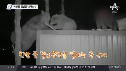비싼 꿀 감별은 내가 선수