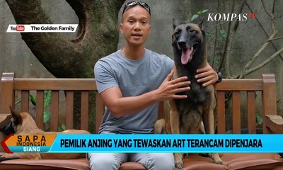 Descargar video: Kasus Anjing Gigit ART, Bima Aryo Terancam Dipenjara