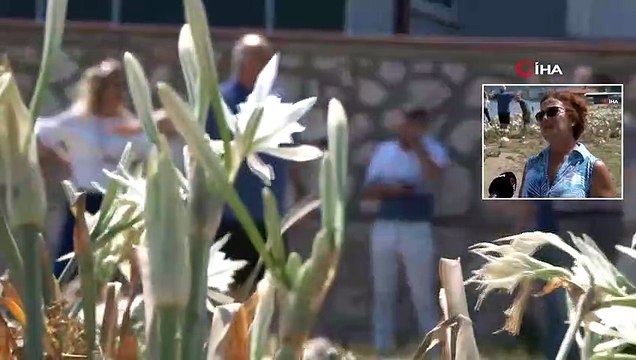 Kum Zambaklarını Koparana Rekor Ceza