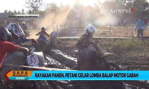 Seru! Rayakan Panen, Petani Gelar Lomba Balap Motor Gabah
