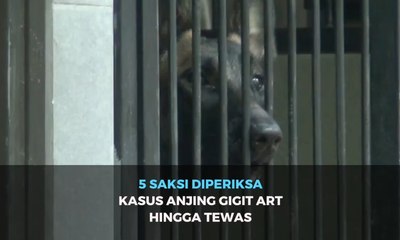 Kasus ART Tewas Digigit Anjing Bima Aryo, Polisi Periksa Lima Saksi