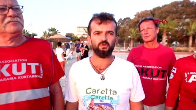 Muğla bodrum'da caretta carettaların yumurtadan çıkış anları görüntülendi