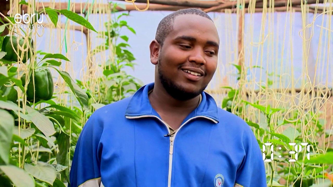 Quick Fire With David Muigai