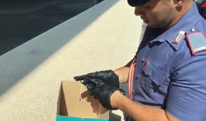 Roma - Controlli a Tor Bella Monaca: 5 arresti (04.09.19)