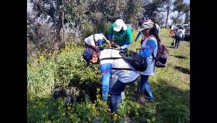 Citi Banamex, Cerro Gordo 24 agosto 2019