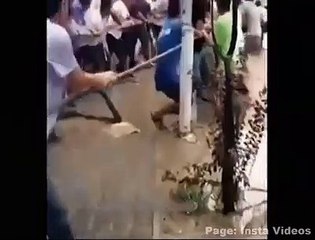 Amazing Scene | Hard to See Again | Unbelieveable Happenings | Insane People