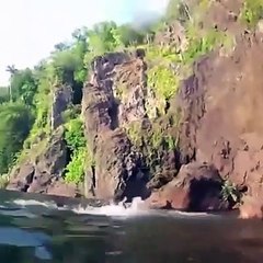 Animals Attack | Discovering Unbelieveable Happenings | Deaf Blind Man Story