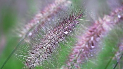 [영상] 가을비 / YTN