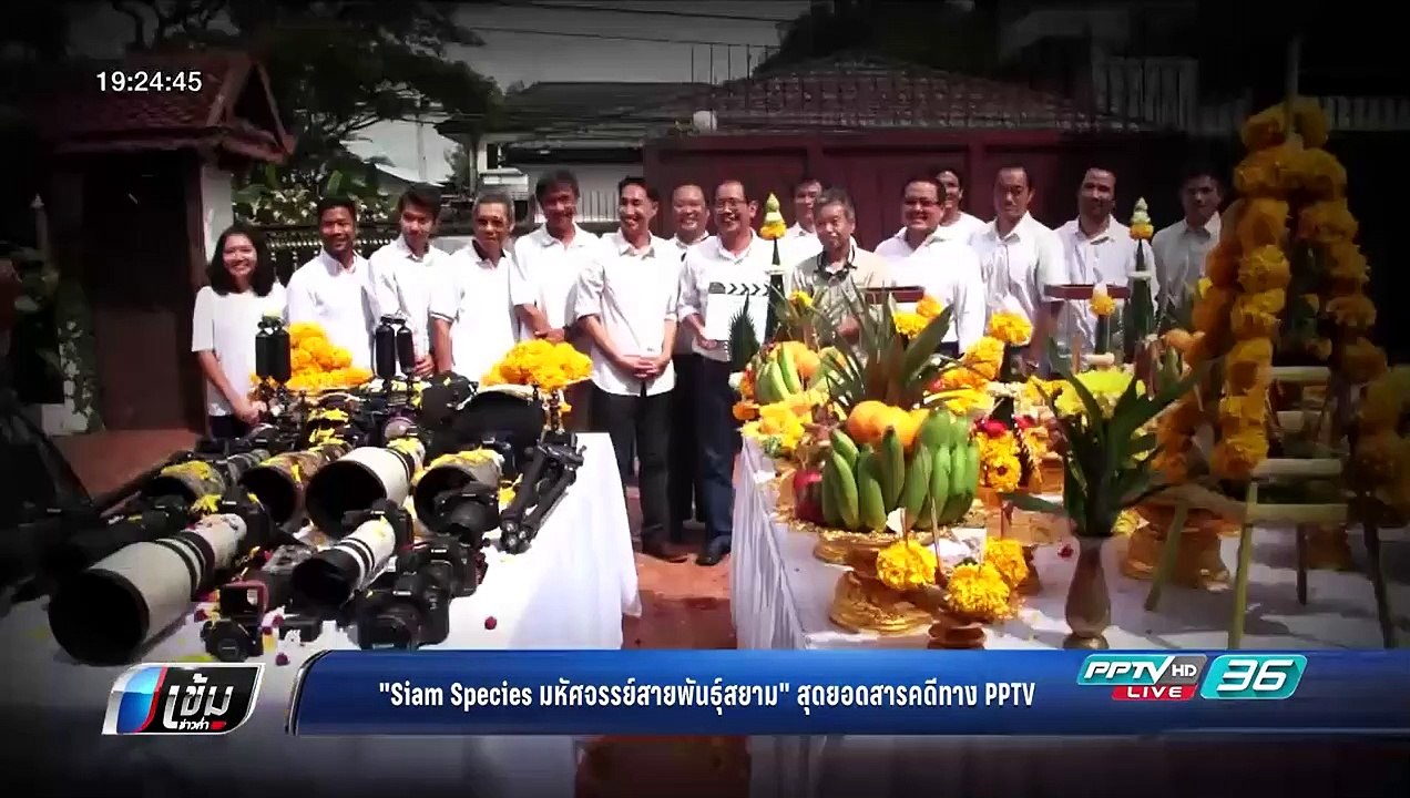 บุษบา หาเรื่องมาเป็นข่าว : "Siam Species มหัศจร...